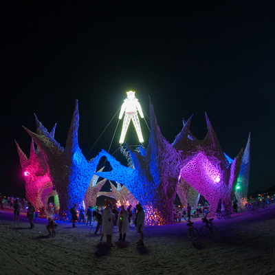 Burning Man 2009