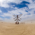 The Portal of Evolution
