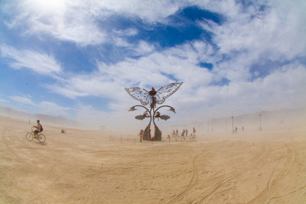 The Portal of Evolution