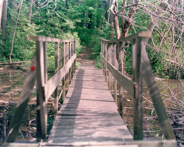 000098-3.jpg