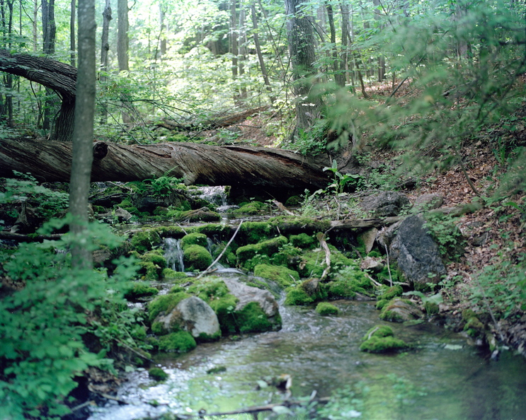 000098-7.jpg