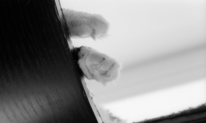 000106-15.jpg