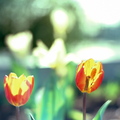 fbspring-ek100-0-5