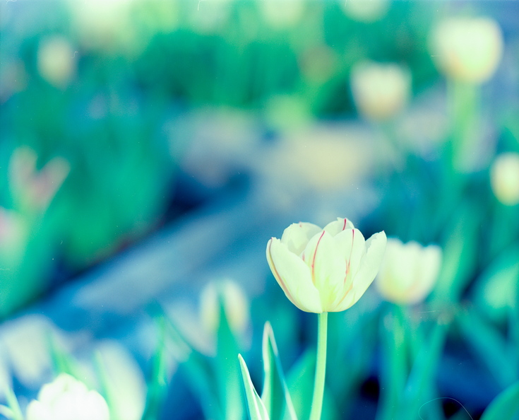 fbspring-ek100-0-8.jpg