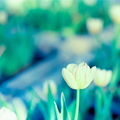 fbspring-ek100-0-8