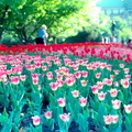 fbspring-ek100-0-11