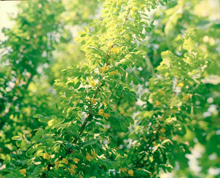 fbspring-ek100-1-11.jpg