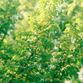 fbspring-ek100-1-11